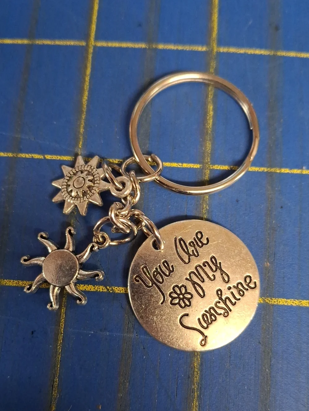 You Are My Sunshine Silver Keyring Purse Charm